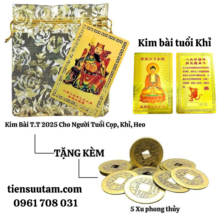 Túi Cho Người Phạm Thái Tuế Tuổi Thân