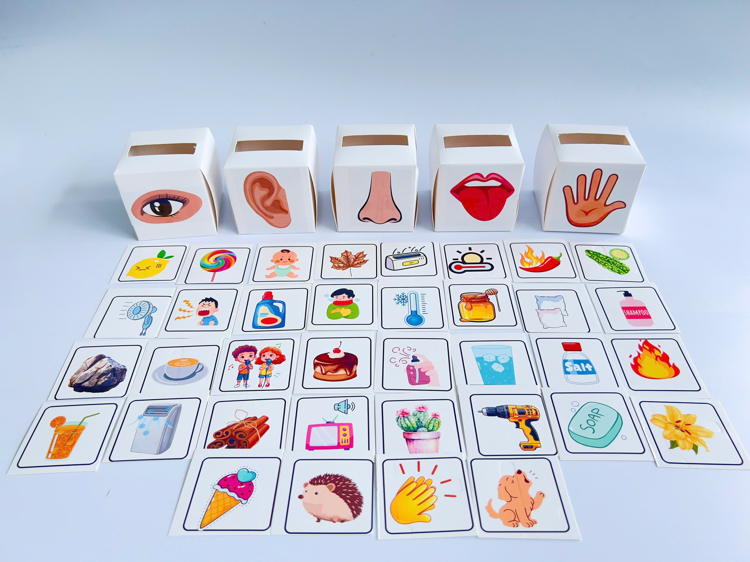 hoc-lieu-5-giac-quan