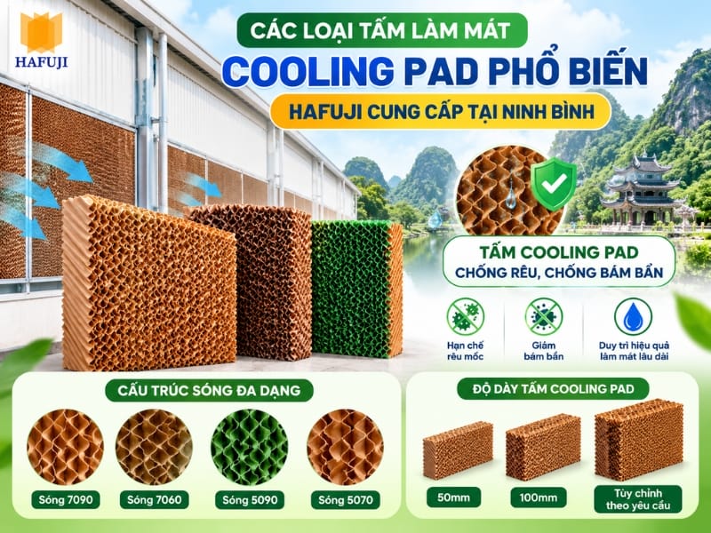 Các loại tấm làm mát Cooling Pad phổ biến Hafuji cung cấp tại Ninh Bình