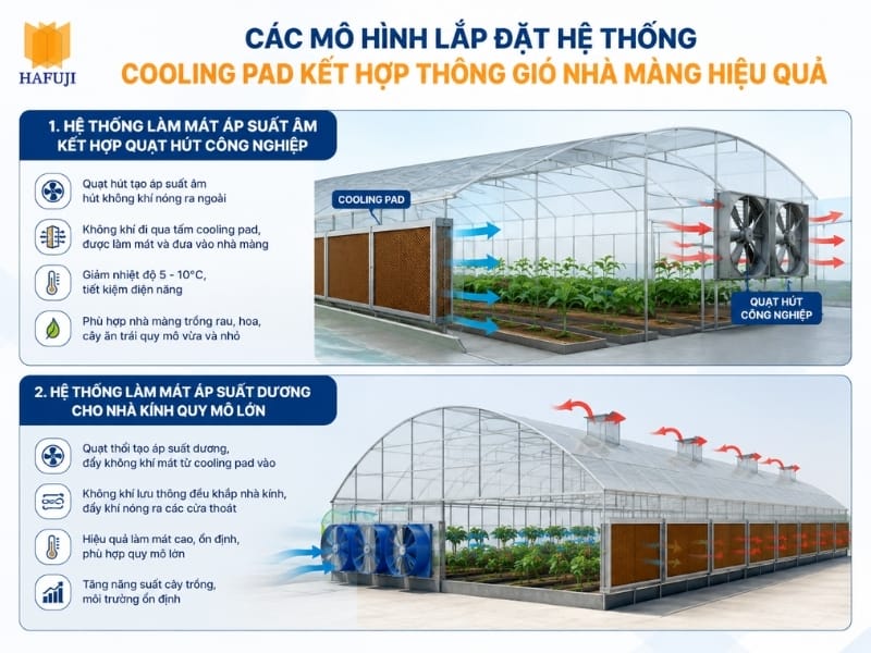 Các mô hình lắp đặt hệ thống Cooling Pad kết hợp thông gió nhà màng hiệu quả