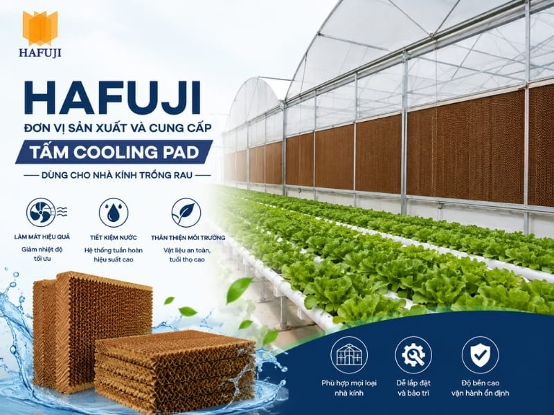 Hafuji – Đơn vị sản xuất và cung cấp tấm Cooling Pad dùng cho nhà kính trồng rau