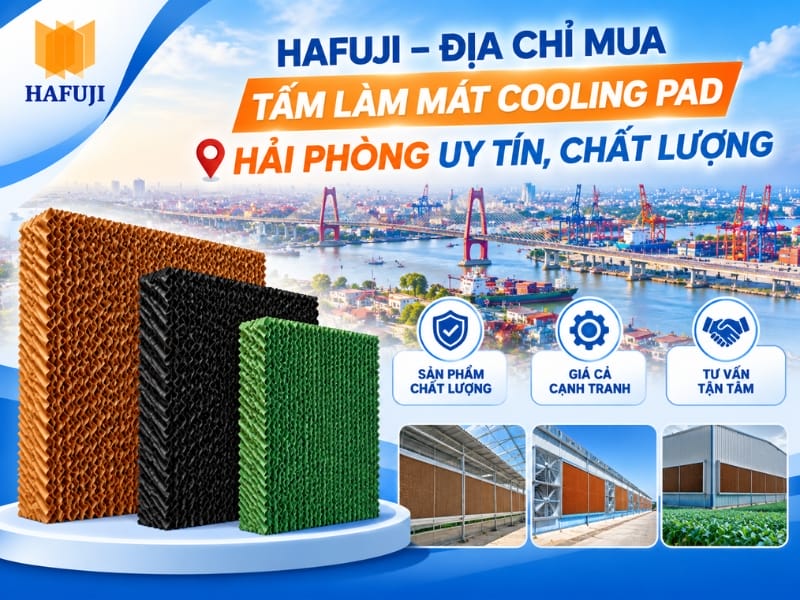 Hafuji – Địa chỉ mua tấm làm mát Cooling Pad ở Hải Phòng uy tín, chất lượng