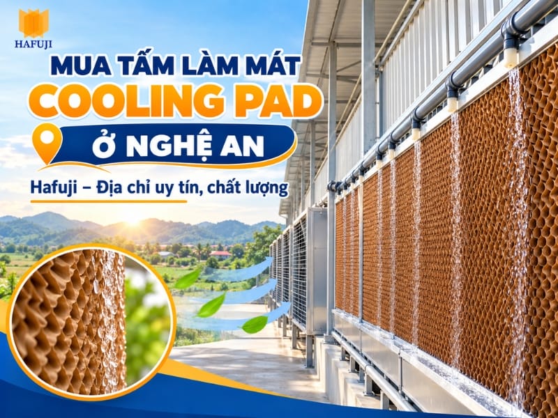 Hafuji – Địa chỉ mua tấm làm mát Cooling Pad ở Nghệ An uy tín, chất lượng
