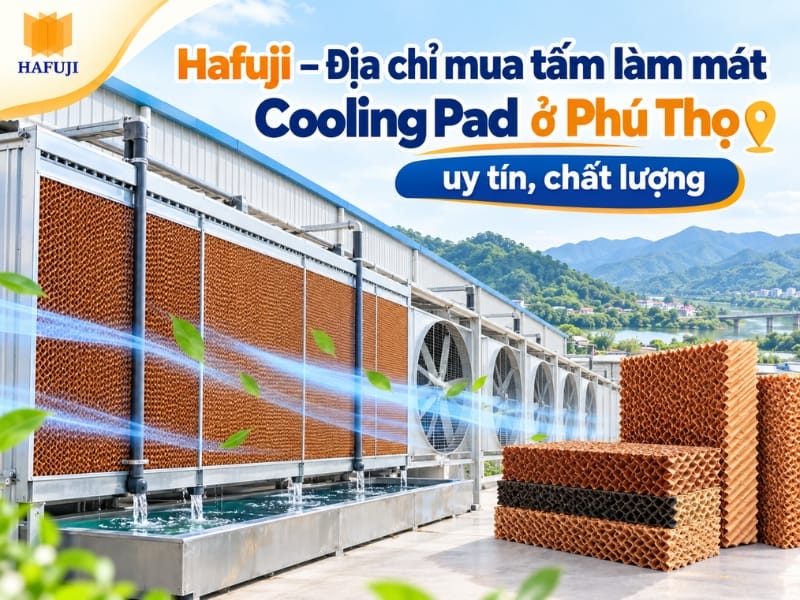 Hafuji – Địa chỉ mua tấm làm mát Cooling Pad ở Phú Thọ uy tín, chất lượng