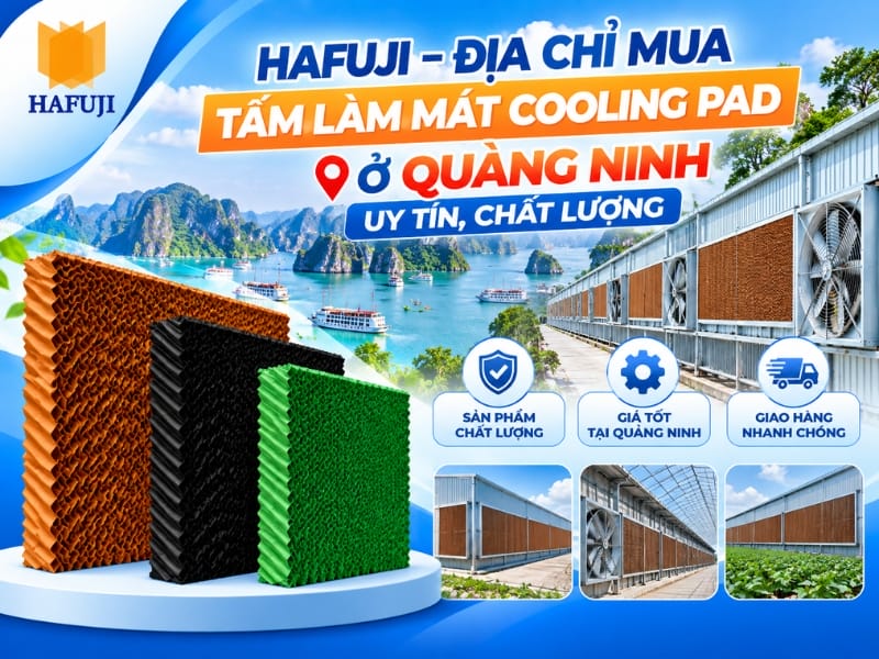 Hafuji – Địa chỉ mua tấm làm mát Cooling Pad ở Quảng Ninh uy tín, chất lượng