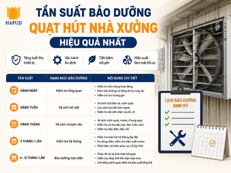 Lịch trình và tần suất bảo dưỡng quạt hút nhà xưởng hiệu quả nhất