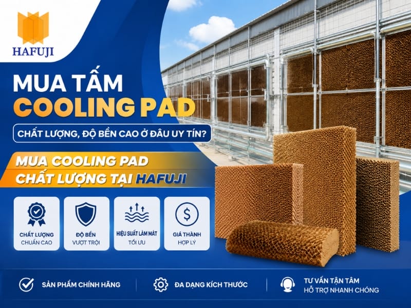 Mua tấm Cooling Pad chất lượng, độ bền cao ở đâu uy tín?