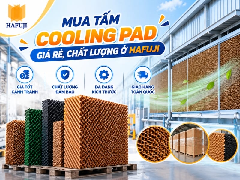 Mua tấm Cooling Pad giá rẻ, chất lượng ở đâu? – Giải pháp từ Hafuji