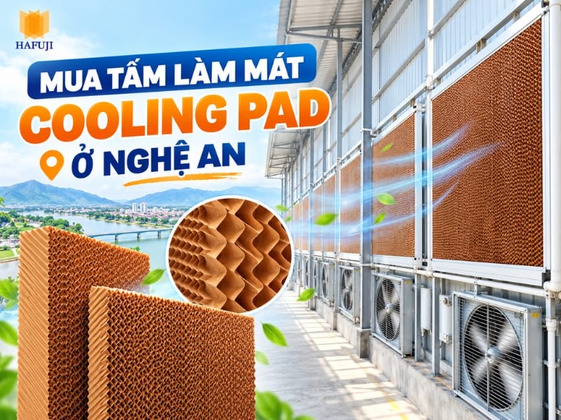 Địa chỉ mua tấm làm mát Cooling Pad ở Nghệ An uy tín, giá rẻ