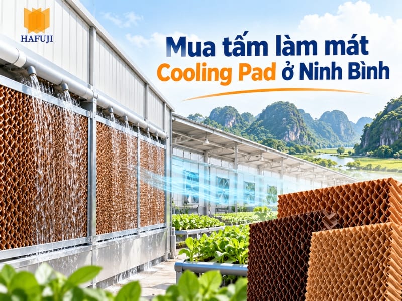 Địa chỉ mua tấm làm mát Cooling Pad ở Ninh Bình uy tín, giá rẻ
