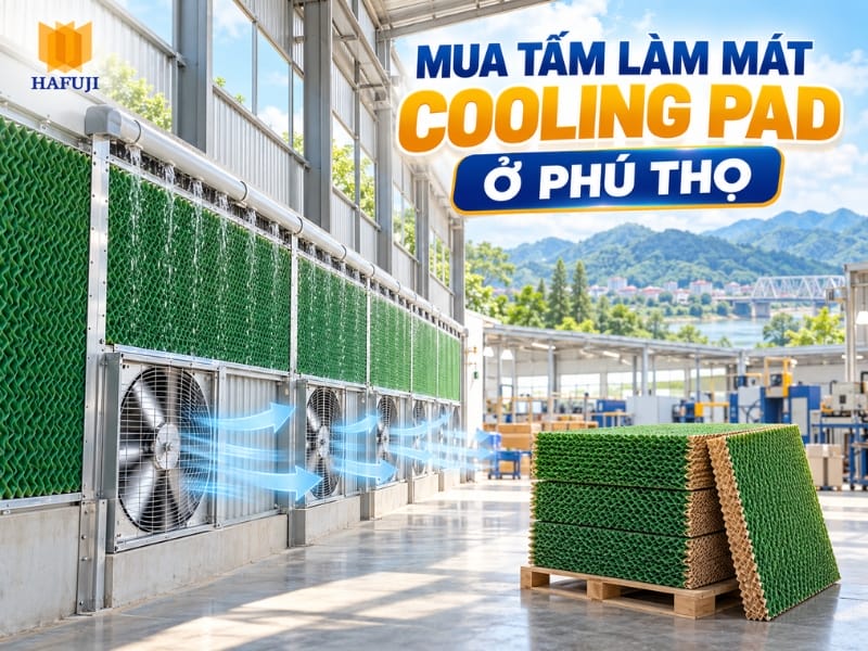 Địa chỉ mua tấm làm mát Cooling Pad ở Phú Thọ uy tín, giá rẻ