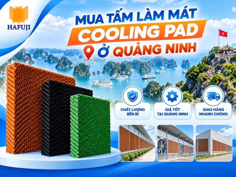 Địa chỉ mua tấm làm mát cooling pad ở Quảng Ninh uy tín, giá rẻ