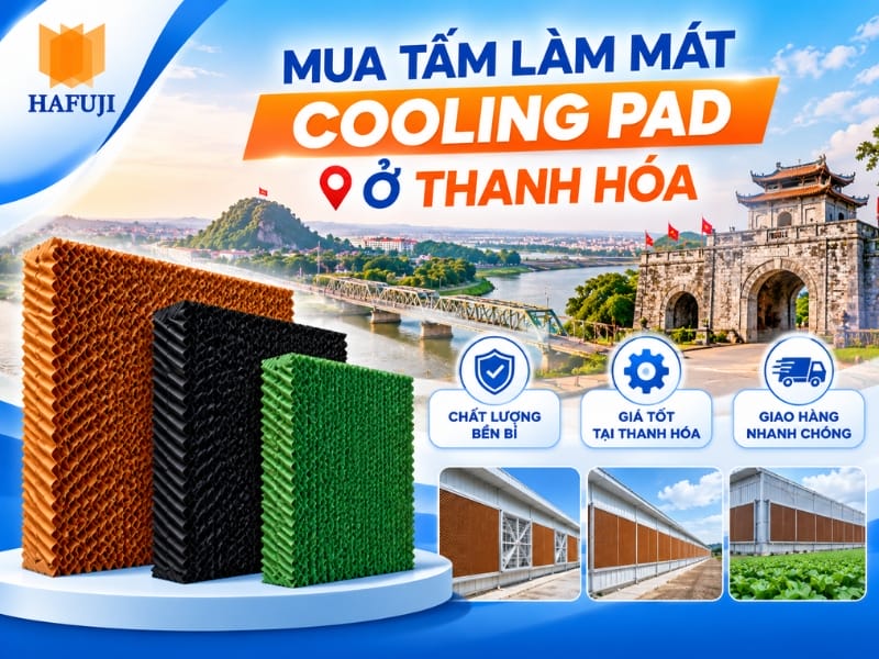 Địa chỉ mua tấm làm mát Cooling Pad ở Thanh Hóa uy tín