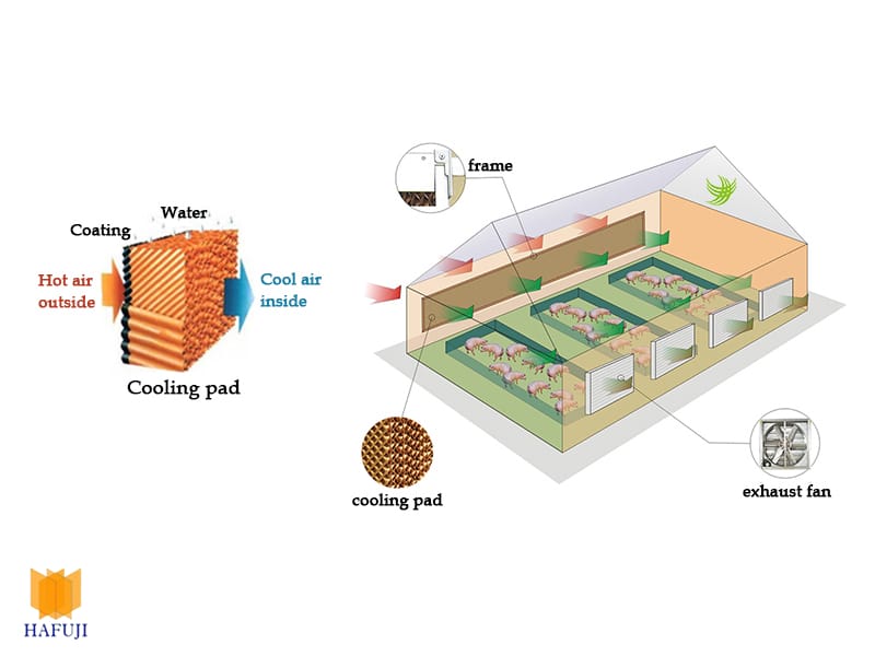 Nguyên lý hoạt động của hệ thống làm mát trang trại bằng tấm cooling pad