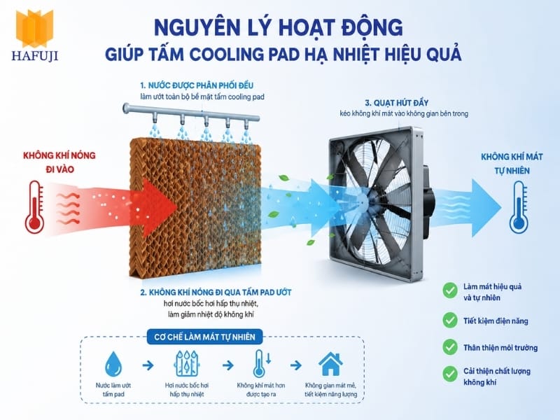 Nguyên lý hoạt động giúp tấm Cooling Pad hạ nhiệt hiệu quả