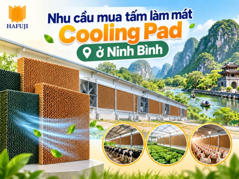 Nhu cầu mua tấm làm mát Cooling Pad ở Ninh Bình