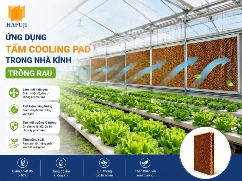 Ứng dụng tấm cooling pad trong nhà kính trồng rau