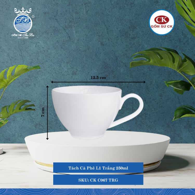 Tách Cà Phê Trắng TRG 250ml Dài: 12.5cm Rộng: 9.5cm Cao: 7cm CK Sứ CK C067 TRG