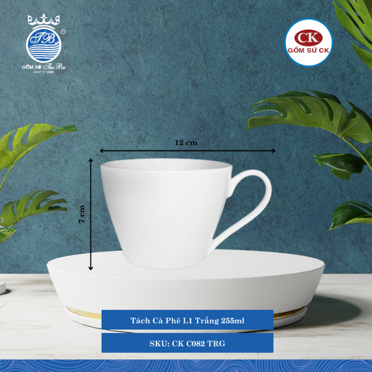 Tách Cà Phê Trắng TRG 255ml Dài: 12cm Rộng: 9.4cm Cao: 7cm CK Sứ CK C082 TRG