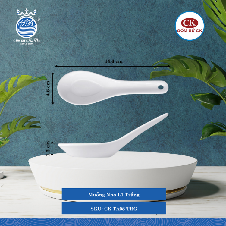 Muỗng Nhỏ Trắng TRG Dài: 14.6cm Rộng: 4.8cm Cao: 1.3cm CK Sứ CK TA08 TRG