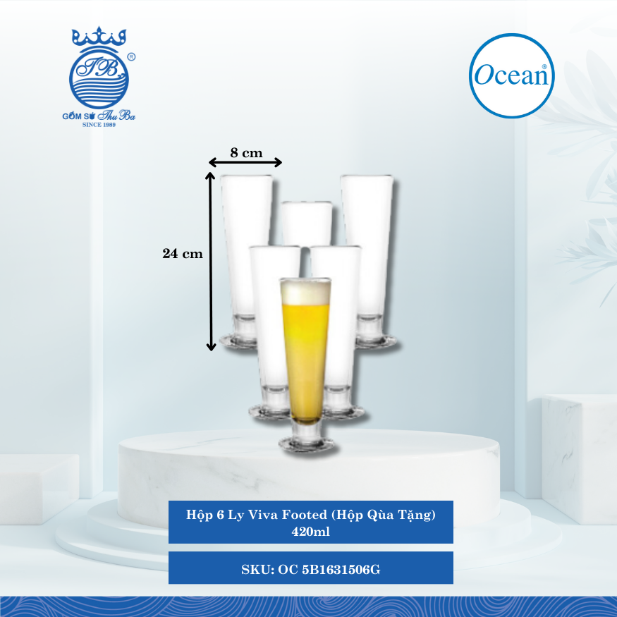 Hộp 6 Ly Viva Footed (Hộp Qùa Tặng) Ø: 8cm ØĐáy: 8cm ØMiệng: 7cm 420ml Cao: 24cm Ocean Thủy Tinh OC 5B1631506G