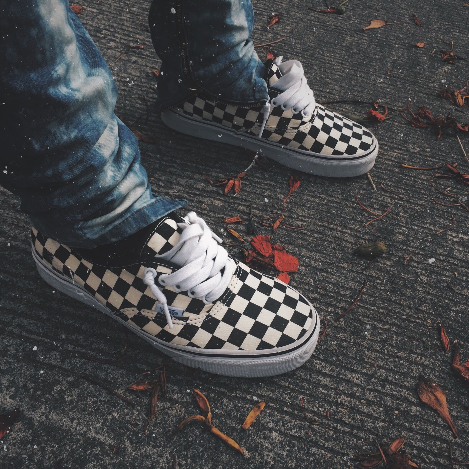 Vans authentic 69 pro top