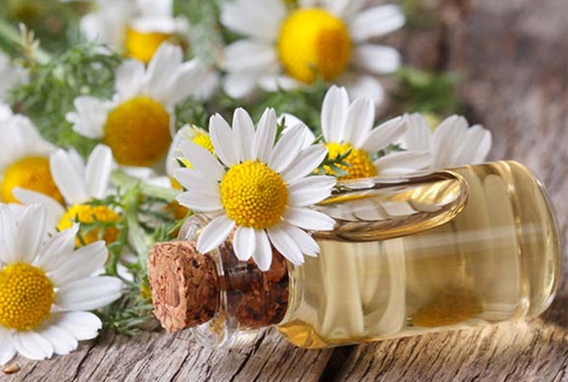 Kem Massage Tái Tạo Da Enprani Premier
