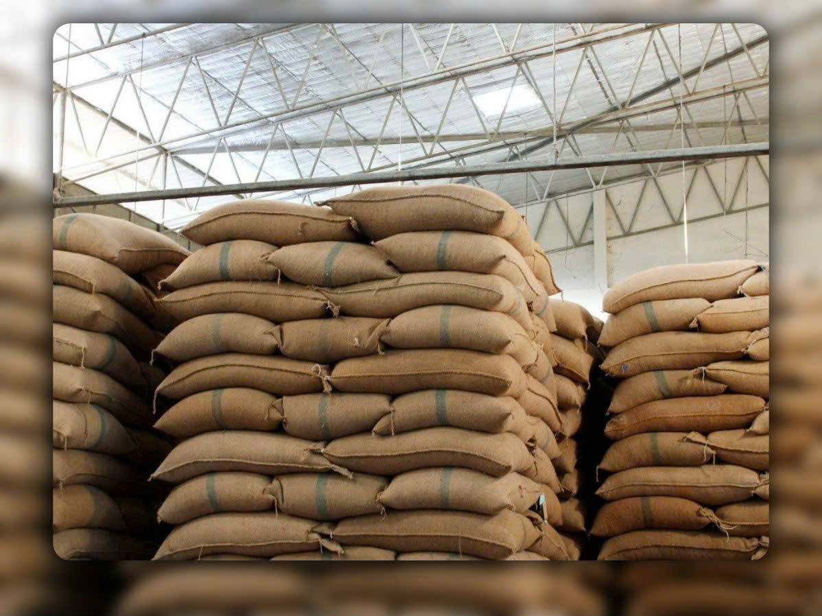 Cà phê Arabica Cầu Đất (Lâm Đồng) – Tinh túy từ 