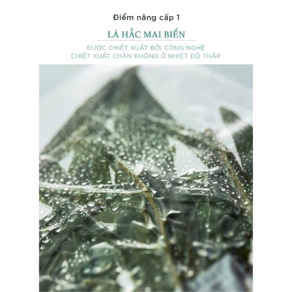 https://myphamkissme.com/kem-duong-am-vitamin-tree-water-gel