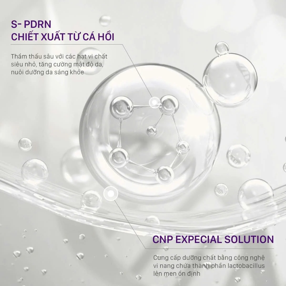 https://myphamkissme.com/serum-pdrn-cnp-lam-sang-da-cang-bong