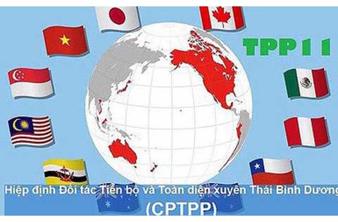 hiep-dinh-cptpp-dem-lai-nhung-co-hoi-gi