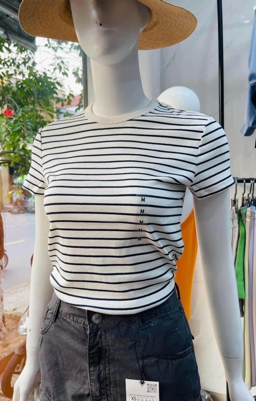 Áo Thun Tăm Uniqlo