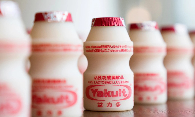 Yakult Có Tốt Không? Bật Mí Thời Điểm Uống Giúp Lợi Khuẩn Phát Huy Tối Đa
