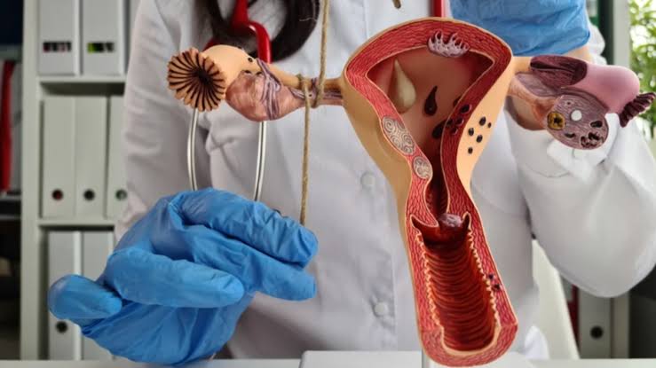 Thắt Ống Dẫn Trứng Có Ảnh Hưởng Gì Không? Lợi Ích Và Rủi Ro Cần Biết