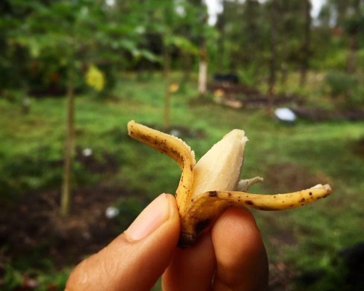 Thực Phẩm Có Thể Gây Liệt Dương Cho Nam Giới – Những Lưu Ý Quan Trọng Cần Nhớ