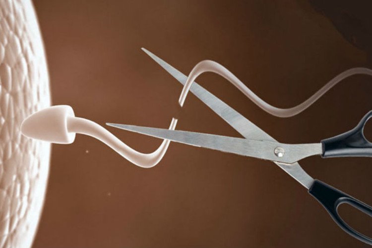 Thuốc Tránh Thai Nam Giới: Công Dụng, Cơ Chế Hoạt Động Và Hiệu Quả Thực Sự