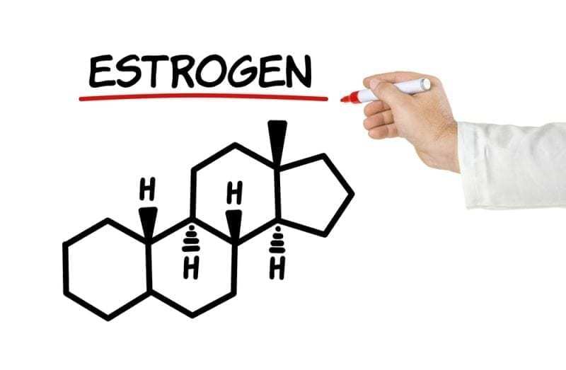 Bổ Sung Estrogen Tự Nhiên Qua Bữa Ăn: Những Thực Phẩm Vàng Cho Phụ Nữ