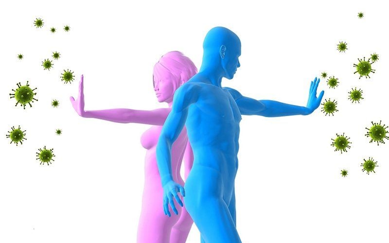 Yakult Có Tốt Không? Bật Mí Thời Điểm Uống Giúp Lợi Khuẩn Phát Huy Tối Đa