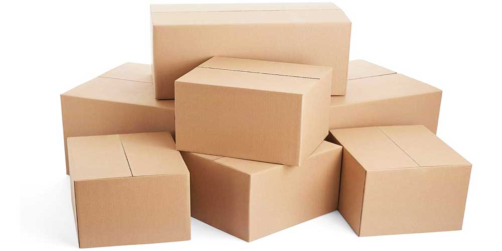 Âm đạo giả Nhật Bản: Sức hút bất ngờ khiến phái mạnh mê mẩn