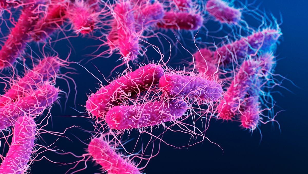 Dấu Hiệu Viêm Âm Đạo - Viêm Phụ Khoa: Nguyên Nhân Và Cách Xử Lý Đúng