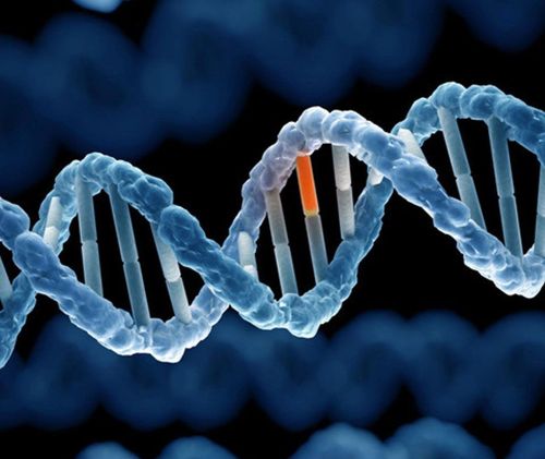 Đứt Gãy ADN Tinh Trùng Là Gì? Nguyên Nhân, Ảnh Hưởng Và Cách Cải Thiện