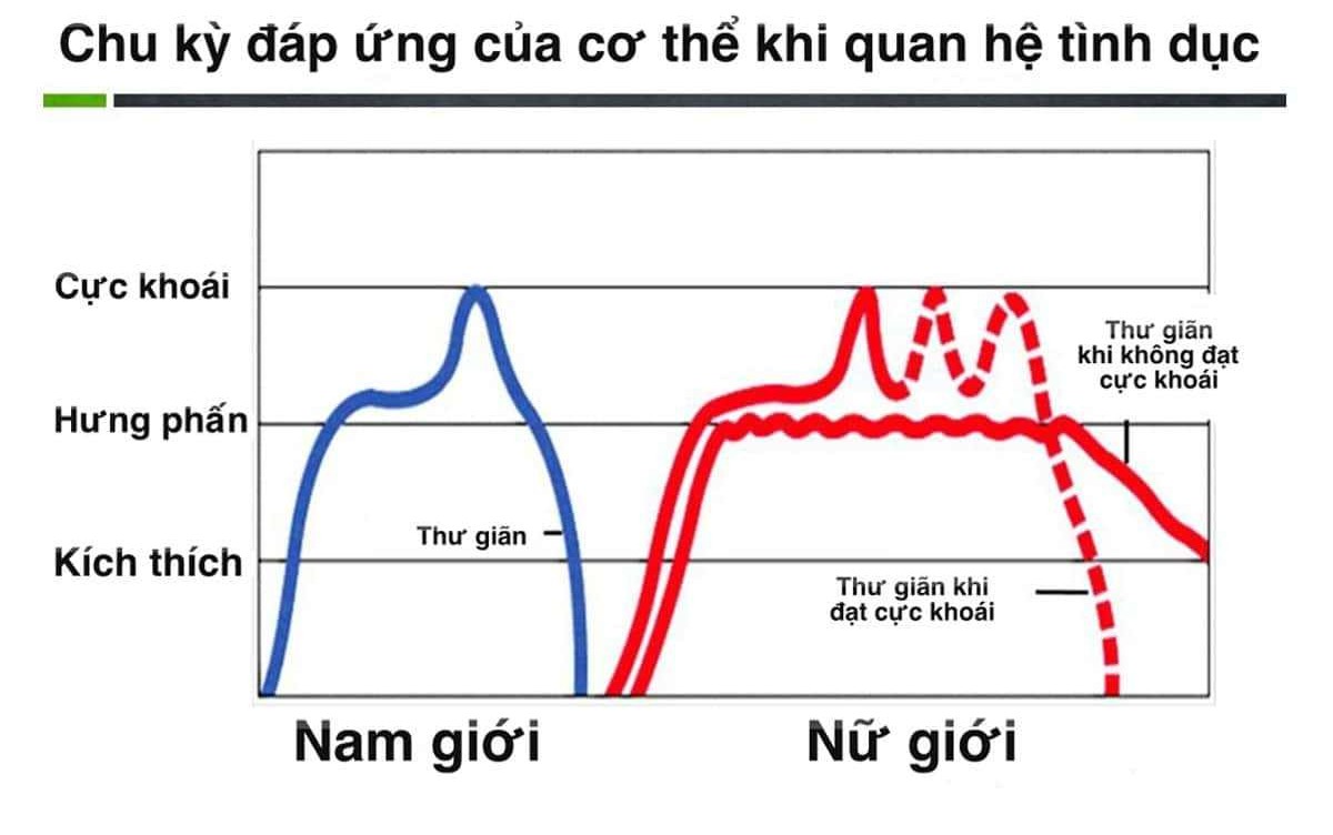 Khoái Cảm Trong Quan Hệ Tình Dục Là Gì? Cơ Chế, Các Giai Đoạn Và Cách Tăng Cường Hiệu Quả