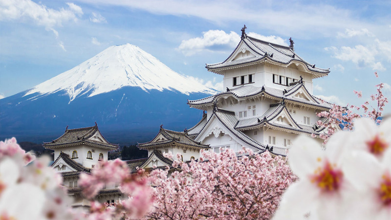 Thương hiệu Vanessa & Co Nhật Bản chính hãng – Tại sao được hàng ngàn cặp đôi Việt Nam tin tưởng và đón nhận?