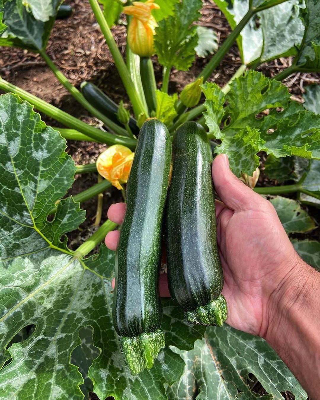 Thủ Dâm Hậu Môn Là Gì? Hướng Dẫn An Toàn Và Những Điều Cần Biết Cho Cả Nam Và Nữ