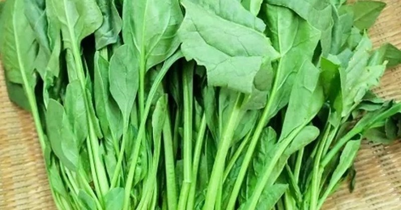 Phì Đại Tiền Liệt Tuyến Nên Ăn Gì Và Kiêng Gì Để Mau Khỏi Bệnh? Chế Độ Dinh Dưỡng Chuẩn Giúp Giảm Triệu Chứng Tự Nhiên