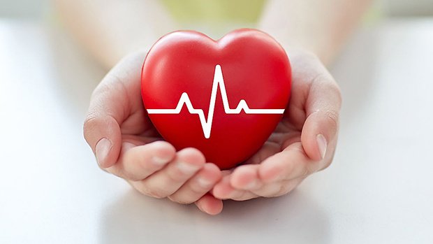 Giải đáp: Uống sữa đậu nành có làm giảm khả năng sinh sản nam giới?