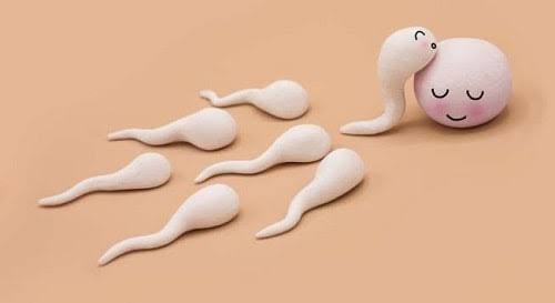 Xuất Tinh Ngoài Là Gì? Hiệu Quả Tránh Thai Và Rủi Ro Cần Biết