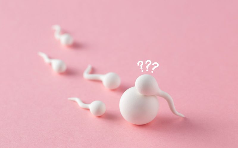 Xuất Tinh Trong Âm Đạo: Có Nên Không? Lợi Ích, Rủi Ro Và Những Điều Cần Biết