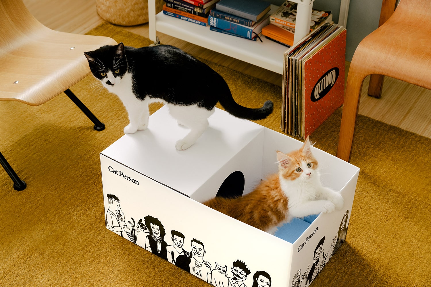 may_bao_bi_carton