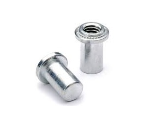 Self-Clinching Blind Nut (EB EBS)